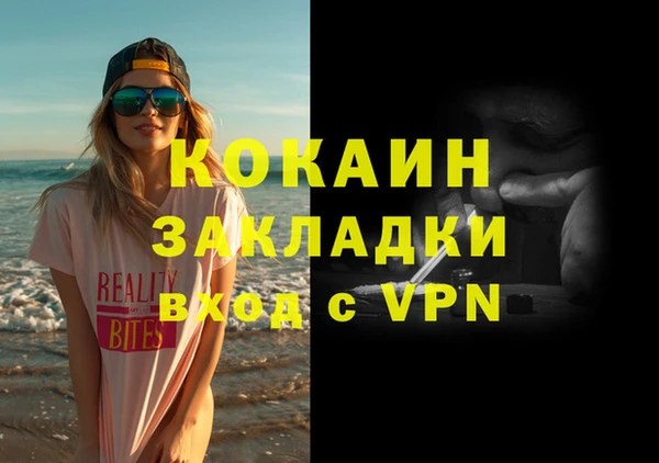 бошки Няндома