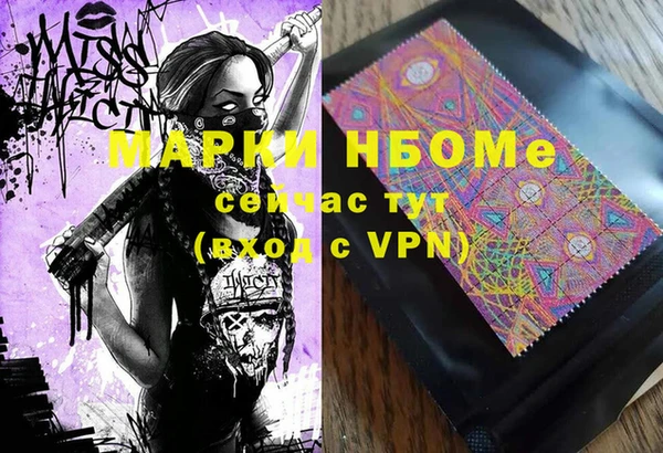 бошки Няндома