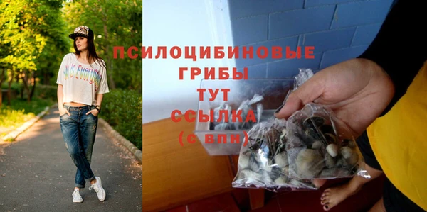 бошки Няндома