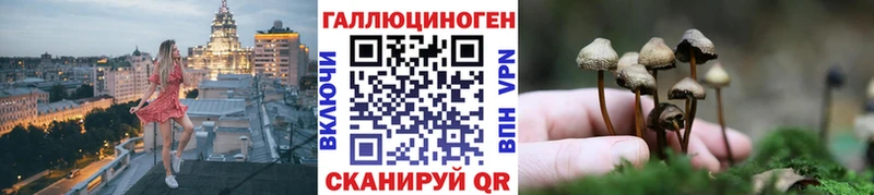 Псилоцибиновые грибы мухоморы  Купить где  Петропавловск-Камчатский 